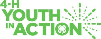 Youth in Action Award logo