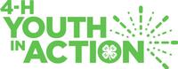 Youth in Action Award logo-200