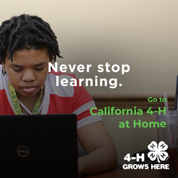Never stop learning. go to California 4-H at Home