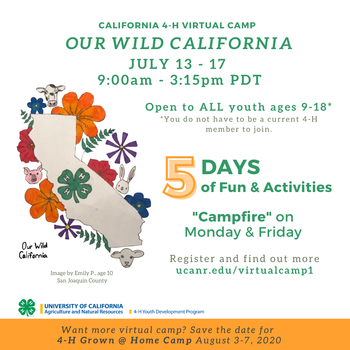 Our Wild California - 4-H Virtual camp