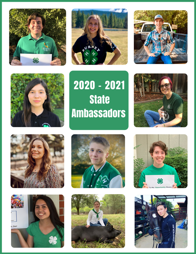 Headshots of 2020-2021 State Ambassadors