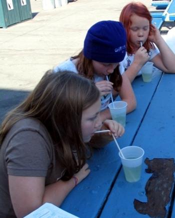 Marin County offers the 4-H National Youth Science Experiment