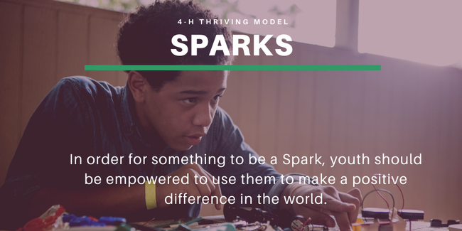 4-H Thriving Model - Sparks