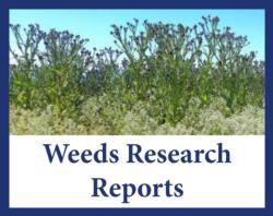 weeds reports