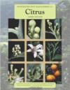 Integrated Pest Management for Citrus 3rd Ed. 2