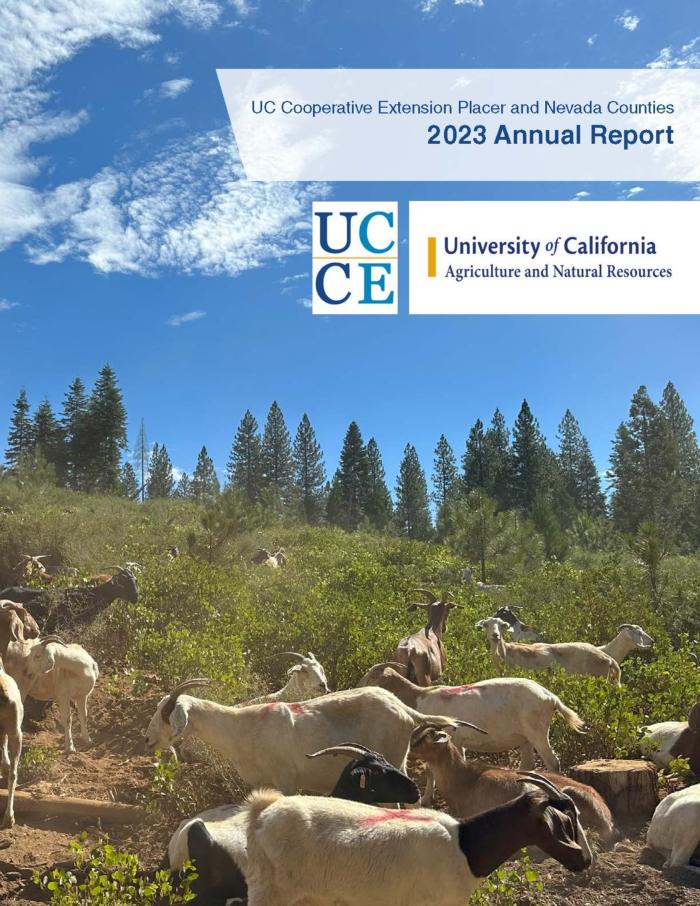 2023 annual Report