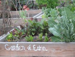 Garden of Eatin' Community Garden