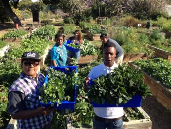 Youth displaying CSA harvest at The Growing Experience