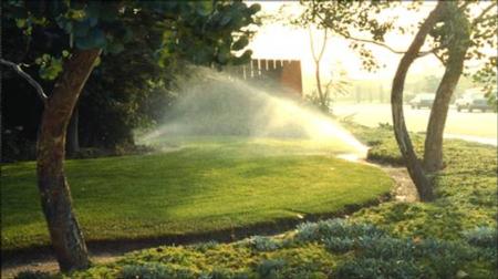 Irrigating_Turfgrass