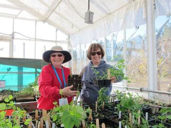 Master Gardeners in the greenhouse at the Hansen REC