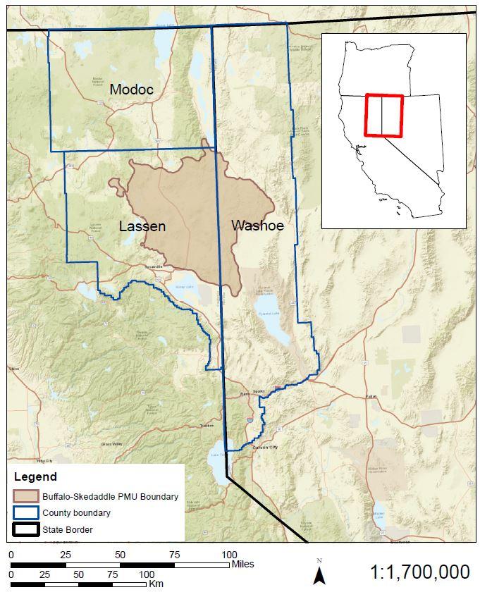Focus area of the Buffalo-Skedaddle Rangeland Project