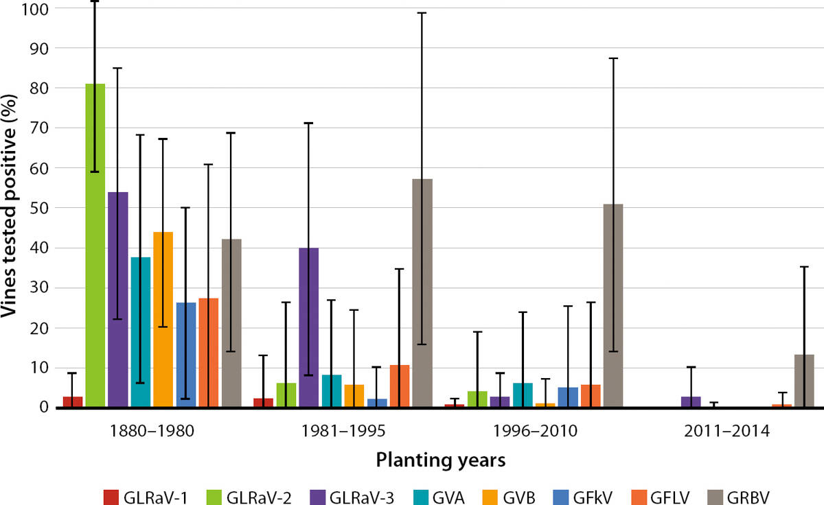 Average percentage of positive vines for each virus tested in each planting year range. Standard error bars are in black.