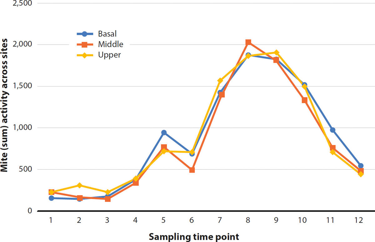 Erineum mite activity on monitoring tapes was similar across shoot positions (basal, middle, upper) where tapes were deployed.