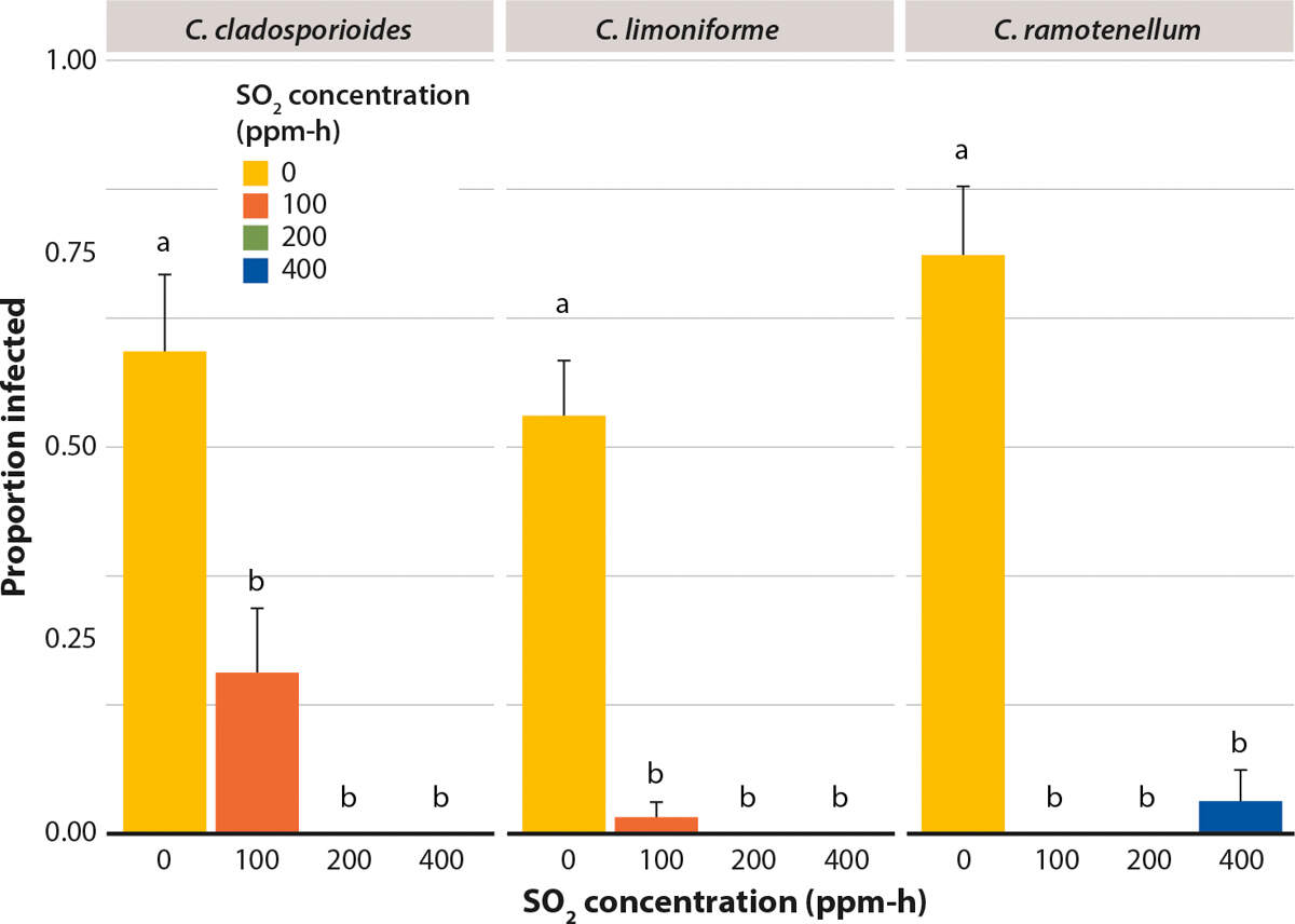 Influence of SO2 at three concentrations on the proportion of infected Redglobe berries after inoculation with three species of Cladosporium. After inoculation, berries were placed in cold storage at 2°C, RH 93%. Lesions on berries were measured at 28 days. Mean ± standard error. Letters represent significant difference at $$alpha$$ = 0.05, according to Tukey's honestly significant difference (HSD) test.