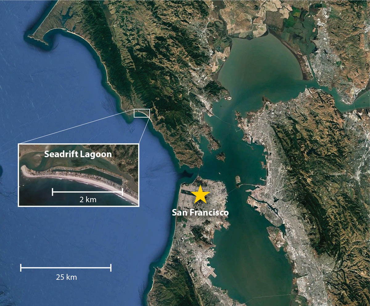 Map of Seadrift Lagoon, adjacent to Bolinas Lagoon and north of San Francisco, where green crabs were first found in 1996.