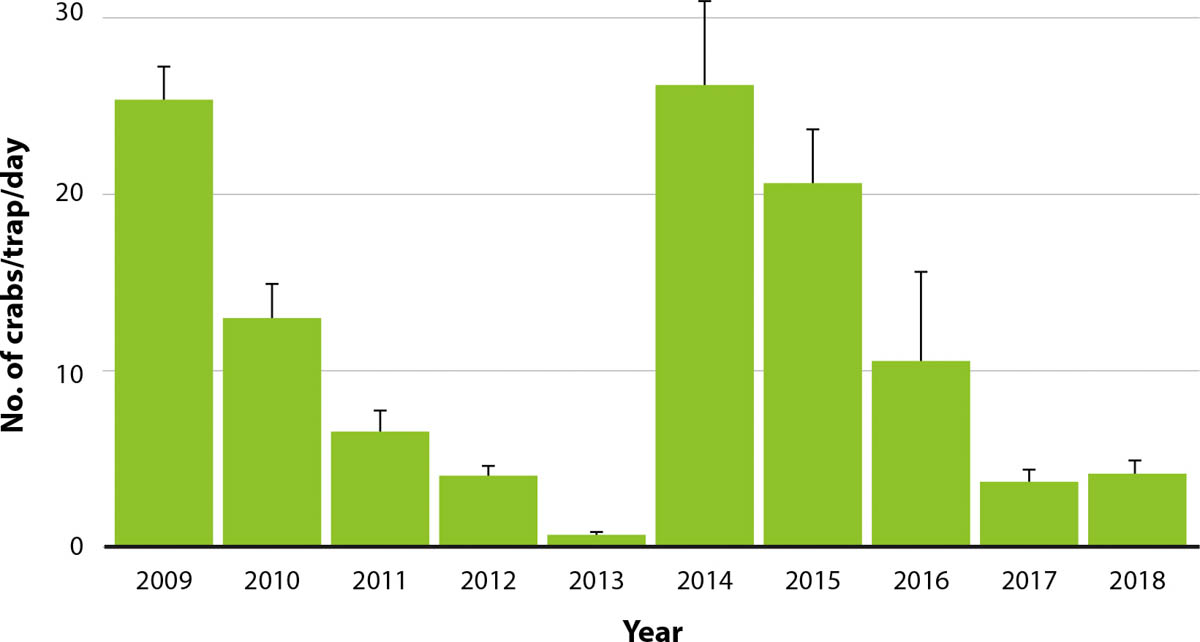 Number of crabs captured per trap per day, or CPUE (catch per unit effort), over a standardized trapping period (typically 3 months) at Seadrift Lagoon from 2009 to 2018.