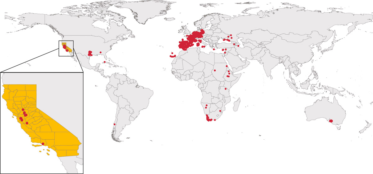 Global distribution of branched broomrape. Data source: Calflora 2019, GBIF 2019 and ALA 2020.