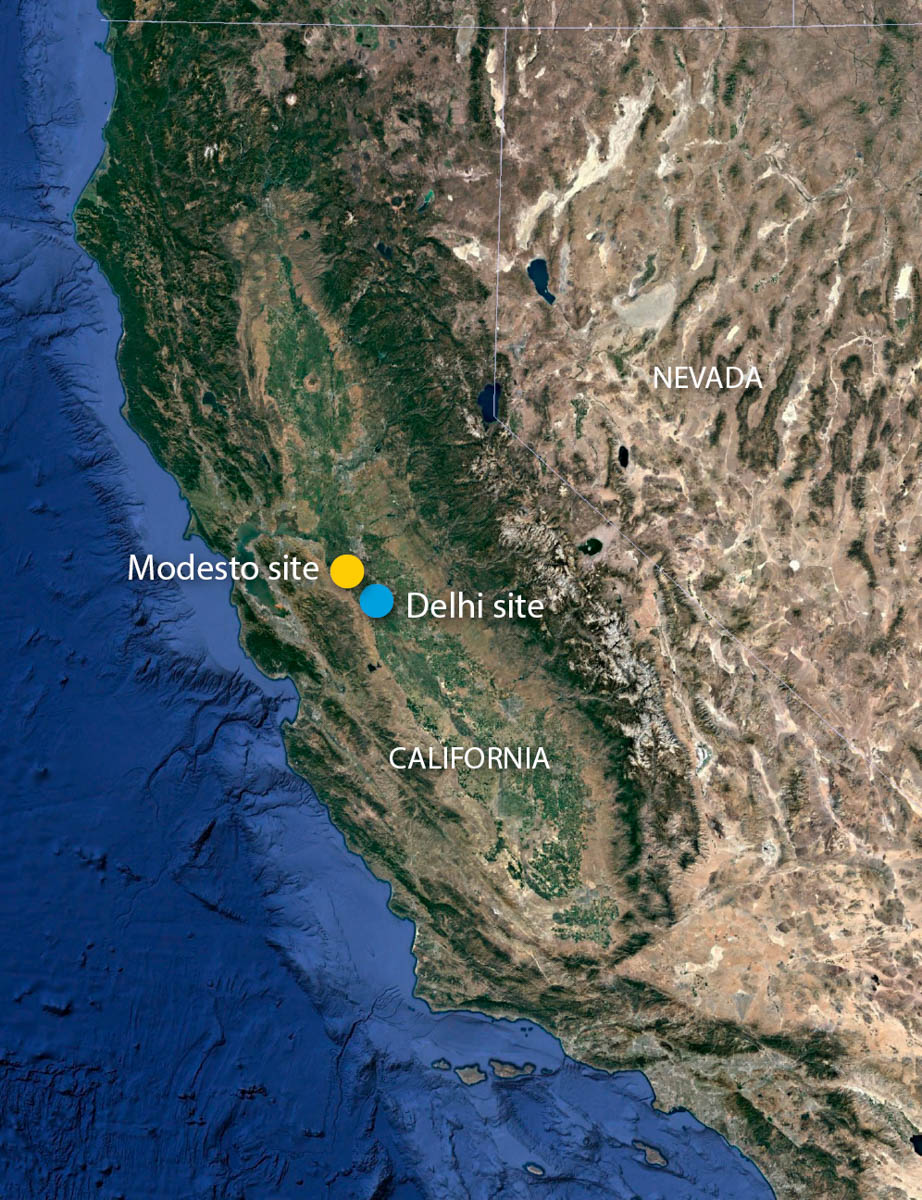 Location of field sites in Delhi (Merced County) and Modesto (Stanislaus County), California. Image: Google Earth.