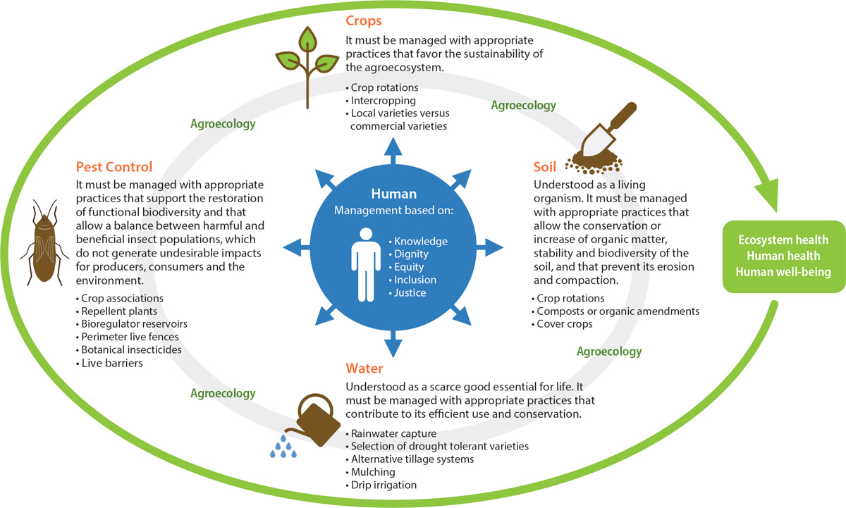 Agroecological principles and management practices.