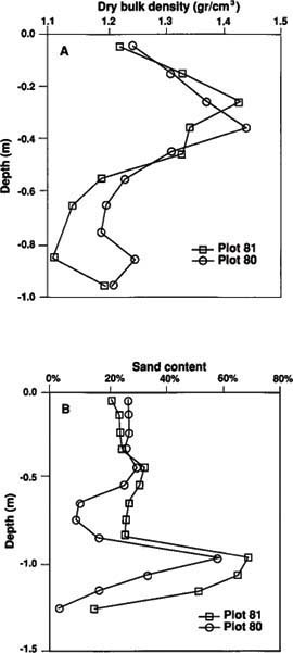Soil bulk density (A) and percentage sand (B) profiles, measured for plots 80 and 81 at 4-inch depth intervals.