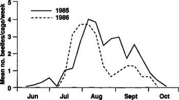 Seasonal emergence of tenlined June beetle adults in 1985 and 1986 (multiplied by 5) at Manteca, California.