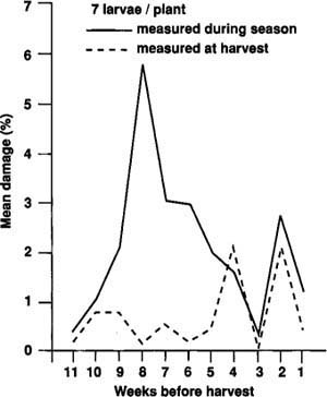 Mean percentage damage, measured during the 1982 season and at harvest on previously unsampled plots, resulting from weekly infestations of seven first-instar tomato fruitworm larvae per plant.