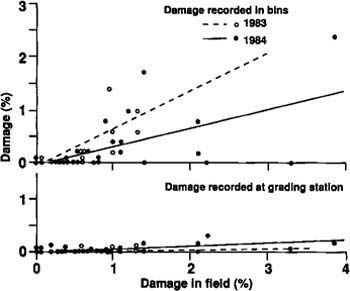Comparison of percentage red fruit damaged at harvest, recorded in bulk bins following mechanical harvest and from state graders in 1983 and 1984.