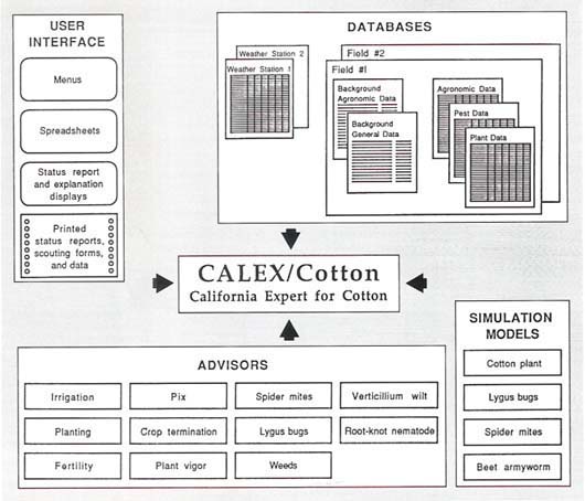 The program draws on decision-making rule base “advisors” and a variety of databases, and then uses computer models to simulate crop growth under the prescribed conditions.