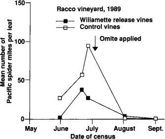 Pacific spider mite populations on experimental Zinfandel vines throughout the 1989 growing season. Release vines (n  15 rows) received 549 ± 136 Willamette mites each on April 17, and control vines (n  15 rows) received no Willamette mites. The 1989 experiment was in a different area of the vineyard than the 1988 experiment.