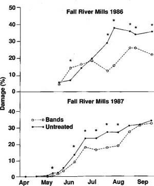 Mean percentage damage to Siberian elms receiving insecticide applications to bark or untreated in Fall River Mills, California, in 1986 and 1987. Asterisks indicate dates when damage was significantly different (P<0.0005) between treatment and control trees according to the Statistical Analysis System general linear models procedure.