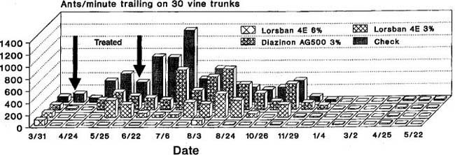 Argentine ant activity on grapevine trunks from March 31, 1989 through May 22, 1990 in ant control plots.