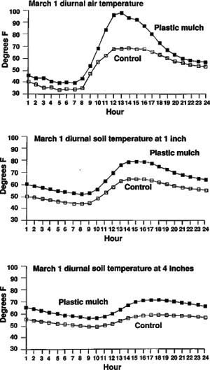 Hourly temperature measurements on March 1 just above the soil surface and at two soil depths.