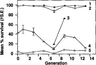 Stability of Guthion resistance in T. pallidus colonies held without selection for 13 generations. Colonies were tested with 50 ppm Guthion every other generation. Line 1 shows survival of a control resistant strain periodically selected with Guthion; 2 shows mean (+ or -S.D.) survival of two colonies of the resistant strain not selected with Guthion for 13 generations; 4 shows mean survival of three colonies obtained by mixing equal numbers of resistant and base (susceptible) parasites and holding them without selection, and 5 shows mean survival of the susceptible base colony. Line 3 shows the rapid response of a mixed colony to selection with Guthion in generations 6 and 8.
