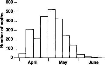 Number of ash borer adults caught per week in 60 traps.