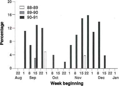 Weekly percentages of cole crop fields surveyed in 1988, 1989, and 1990 with moderate to high levels of sweetpotato whitefly immatures.
