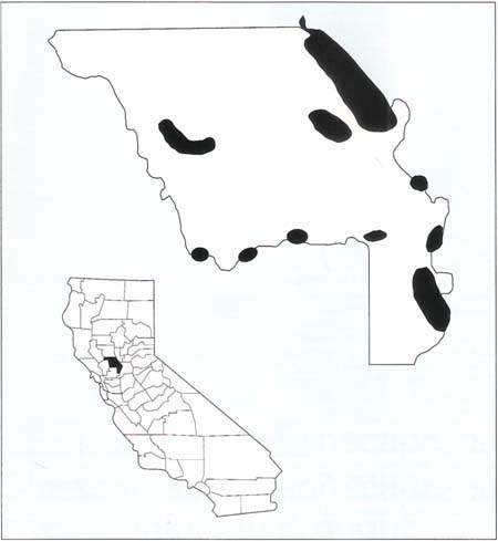 General location of valley oak groves in Yolo County in 1988.