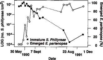 Changes in density of immature ash whitefly (Siphoninus phillyreae) and percentage of whitefly pupae producing parasitic wasps (Encarsia partenopea) rather than adult whiteflies on pomegranate in Riverside, 1990-1991.