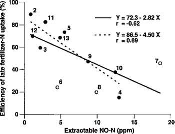 The relationship between uptake efficiency of N fertilizer applied at anthesis and extractable soil NO3-N in the top 8 inches of soil at anthesis (flowering.) Included are three sites from a similar experiment in Yolo County (11-13). The dashed line represents regression without inclusion of sites 6, 7 and 8.
