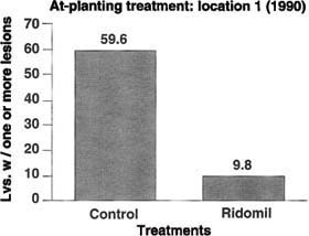 Disease control achieved by single at-planting application of Ridomil 2E. Fungicide was applied as a banded treatment over seed lines on February 24, 1990. Spinach cultivar was CX5086. Ridomil rate was 0.5 gal/ac. Evaluation was made at 38 days after treatment, or 17 days before harvest. Ridomil-treated plots were significantly less diseased than untreated plots (F=94.88; P<0.05).