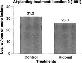 Disease control evaluation after 80 days of growth. Ridomil 2E was applied as a banded treatment over seedlines on Jan. 8, 1991. The spinach cultivar was ‘Polka’ and the Ridomil rate was 0.5 gal/ac. This evaluation was made 80 days after planting, or 4 days before harvest. Ridomil-treated and untreated plots did not differ significantly in disease severity (F=2.25; P>0.05).