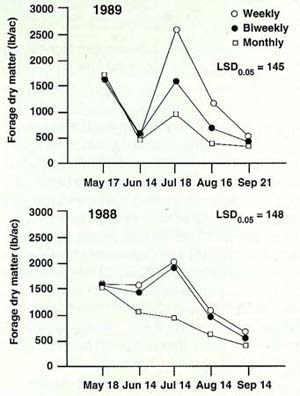 Forage dry matter for weekly, biweekly, and monthly irrigation treatments for each harvest date in 1988 and 1989.