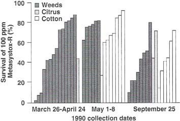 Percentage survival of Tulare County cotton aphids treated with Metasystox-R. Aphids were collected from weeds (dark gray bar), citrus (light gray bar), and cotton (white bar) three times during 1990.