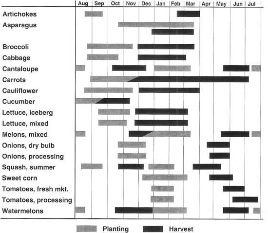 Planting and harvest are labor-intensive activities. This calendar shows that most vegetable crops are planted and harvested from September to February in the Imperial Valley, a period that coincided in 1991–1992 with an increase in unemployment claims (fig. 1) and a decrease in farm employment (fig. 3).