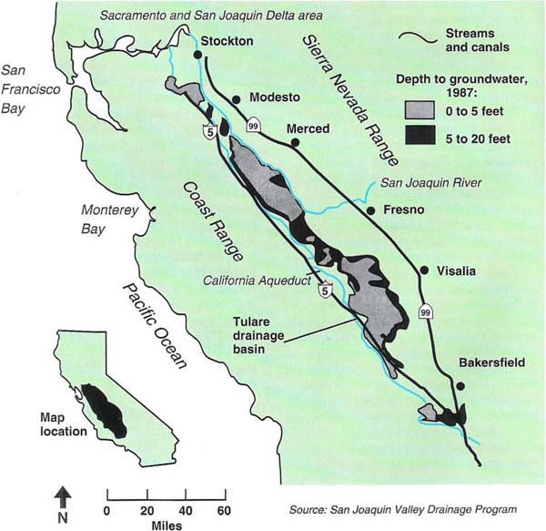 Shallow water table areas in the San Joaquin Valley.