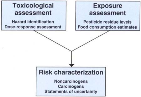 Basic process of dietary pesticide risk assessment.