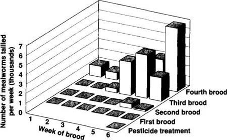 The number of lesser mealworms expected during the spring was suppressed by a boron-based pesticide applied to the soil. By the third brood after the treatment, however, the number was at the expected level.