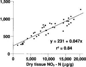 There is a high correlation between NO3-N concentration in petiole sap and dry petiole tissue of tomato.