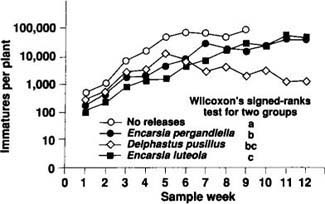 Comparison of B. tabaci densities in poinsettia cages receiving releases of three different species of natural enemies. Sample weeks (weeks receiving natural enemy releases) are depicted along the x-axis. The y-axis represents the number of immature whiteflies per plant (= the number of whiteflies per leaf multiplied by the number of leaves per plant) on a logarithmic scale.
