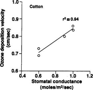 Ozone deposition velocity (uptake activity) determined by aircraft over a large irrigated cotton field was closely related to the stomatal conductance per leaf area (plant activity) determined from ground-based measurements in the same field.