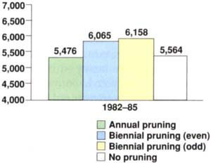 Four-year accumulative net return in dollars per acre based on $700/ton x crop quality value and subtracting cost of pruning and brush disposal estimated to be $100/acre per year.